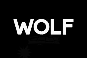 wolf-logo-web- wolf-logo-web-